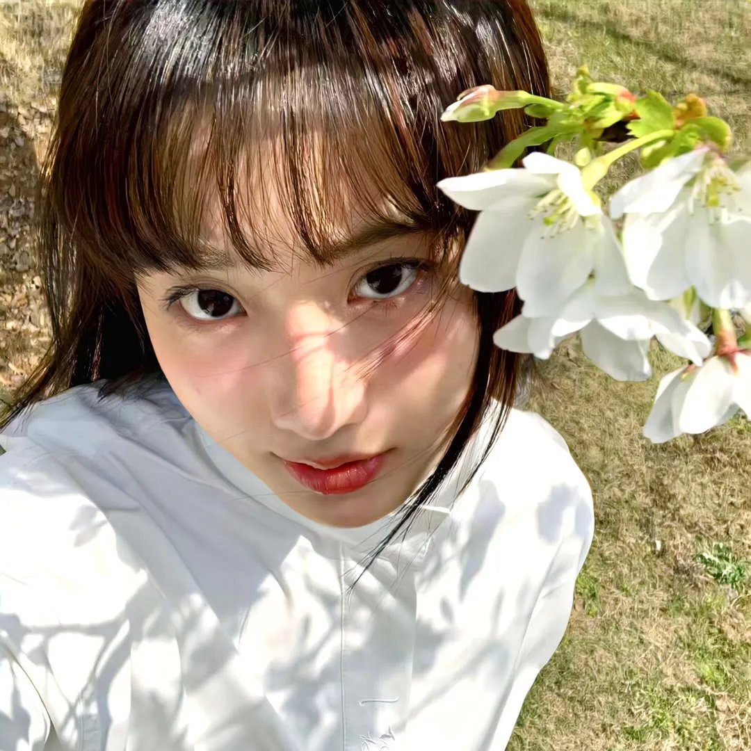 美人脸