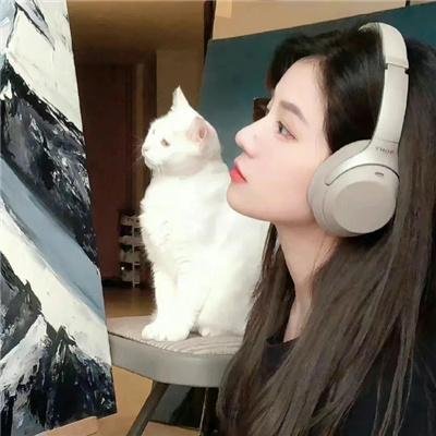 血豹