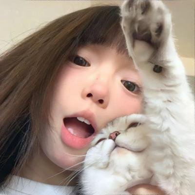 慈膳救援